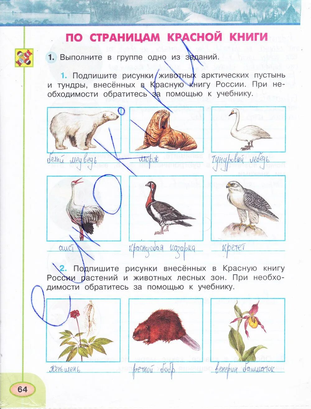 Окр мир стр 64. Окружающий мир 4 класс рабочая тетрадь стр 64 65 Плешаков. Окружающий мир 4 класс Плешаков тетрадь Плешаков Новицкая 1 часть. Окружающий мир 4 класс рабочая тетрадь Плешаков стр 4. Окружающий мир 4 часть рабочая тетрадь Плешаков Новицкая.