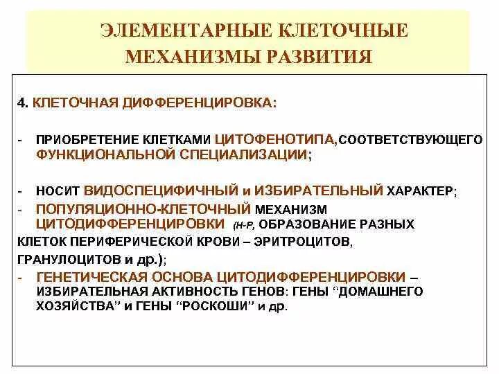 Надклеточные механизмы онтогенеза. Элементарные клеточные механизмы онтогенеза. Коагуляционный некроз механизм развития. Клеточные механизмы. Клеточные механизмы регуляции.