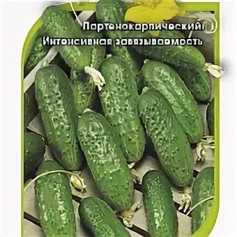 Огурец ванька встанька