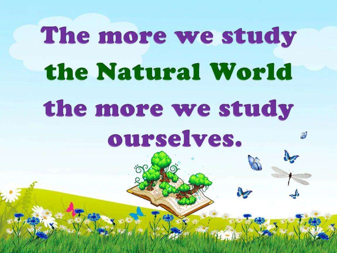 Living things around us. Living things around us презентация. Living things around us 7 класс презентация. The more we study the more we know. Living things around us контрольная работа