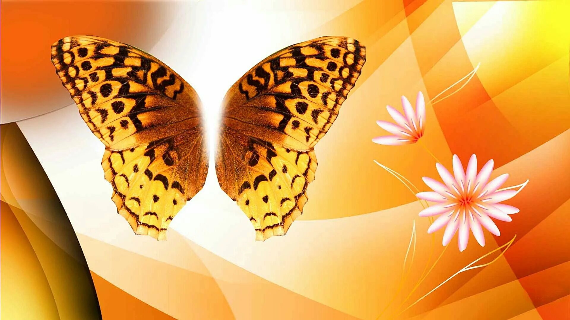 Обои фон бабочка. Красивый фон с бабочками. Золотая бабочка. Бабочка абстракция. Желтый фон с бабочками.