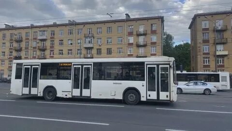 Автобусы васильевское