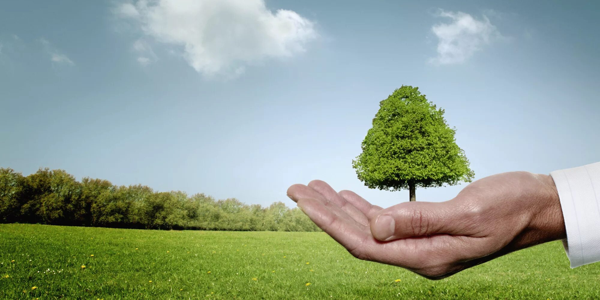 Clean environment. Protection of nature картинки. идея на environment. человек и природа картинка на белом фоне. taking care of environment.