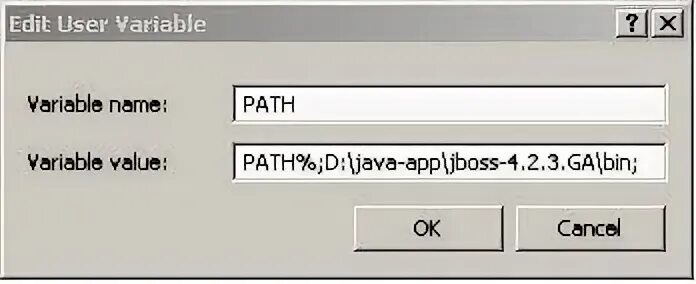 Java opts