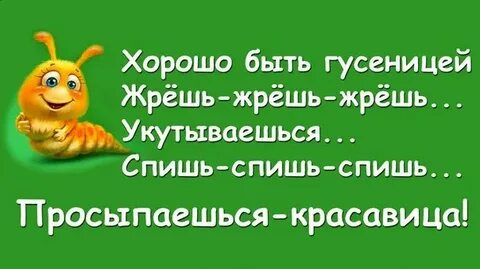 Проснуться жрать