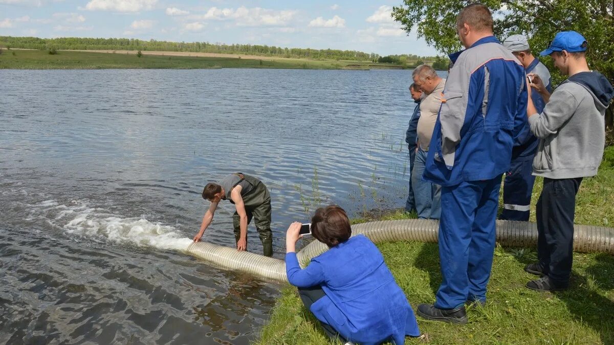 В пруд запустили