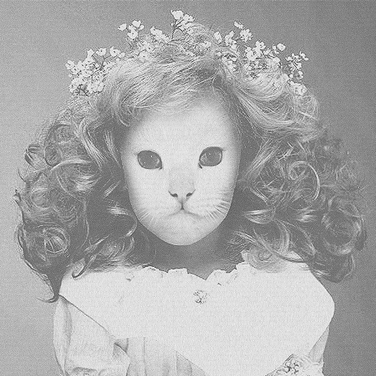 Включи mister kitty. Mr Kitty Eternity. Mr.Kitty группа. Mr.Kitty - Eternity (2012). Mr Kitty album.