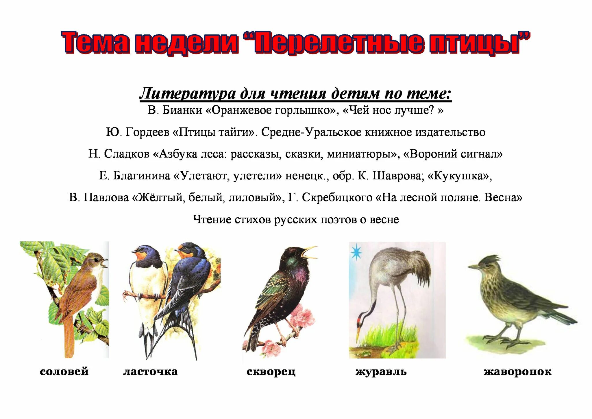 перелетные птицы конспект старшая группа. перелетные птицы. перелетные птицы конспект старшая группа. занятие в детском саду перелетные птицы. гр.