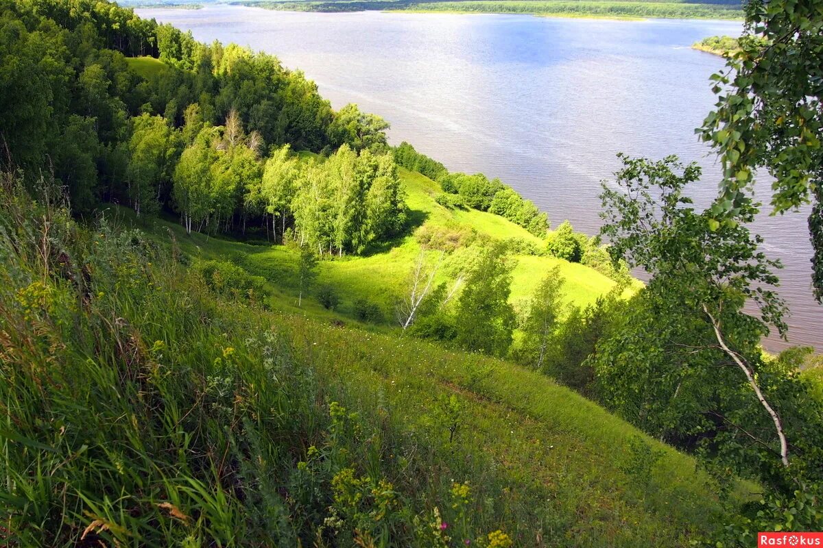 Правобережье Волги Нижегородская область. Природа Дзержинска Нижегородской области лето. Холмистая равнина Карелии. Земная поверхность Нижегородской области.