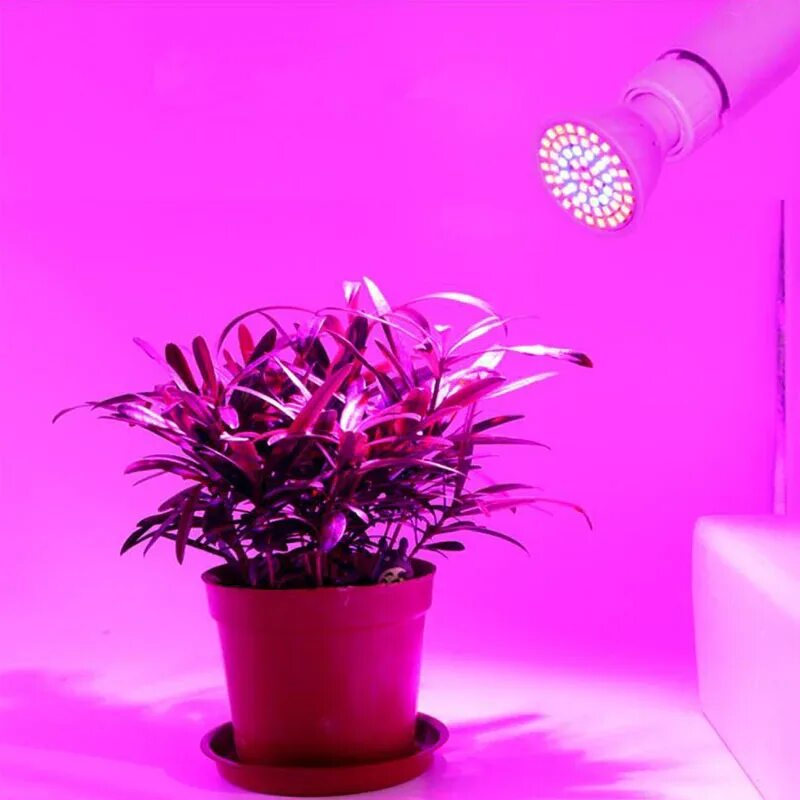 Фитолампа что это. Фитолампа led grow Light. Фитолампа e27 360. Фитолампа e27 led белый. Фитолампа mr16.