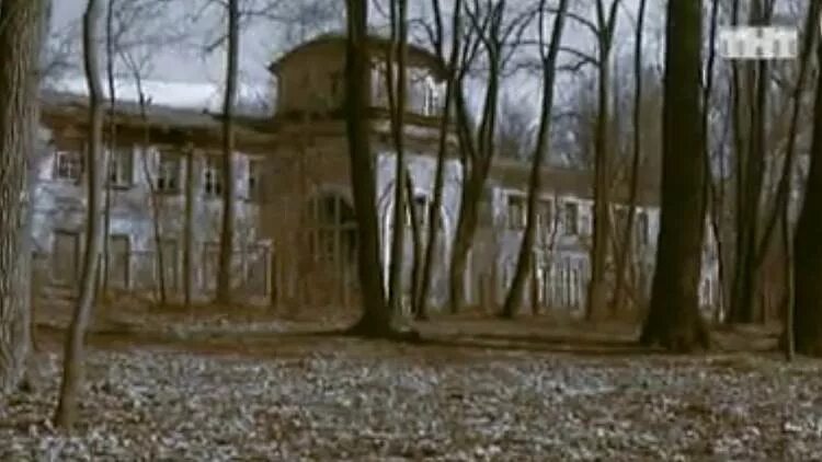 Особняк битва экстрасенсов. Битва экстрасенсов кузьминки усадьба. усадьба кузьминки призраки. битва экстрасенсов призраки в лесу. фантом на дереве битва экстрасенсов.