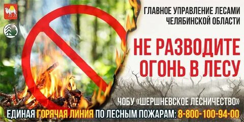 Штраф за костер в лесу