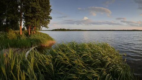 Водоемы беларуси