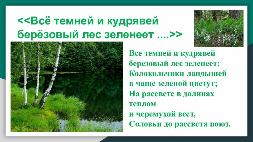 Все темней и кудрявей березовый лес зеленеет. Бунин все темней и кудрявей березовый лес зеленеет. всё темней и кудрявей берёзовый лес. все темней и кудрявей березовый. бунин все темней и кудрявей березовый лес.