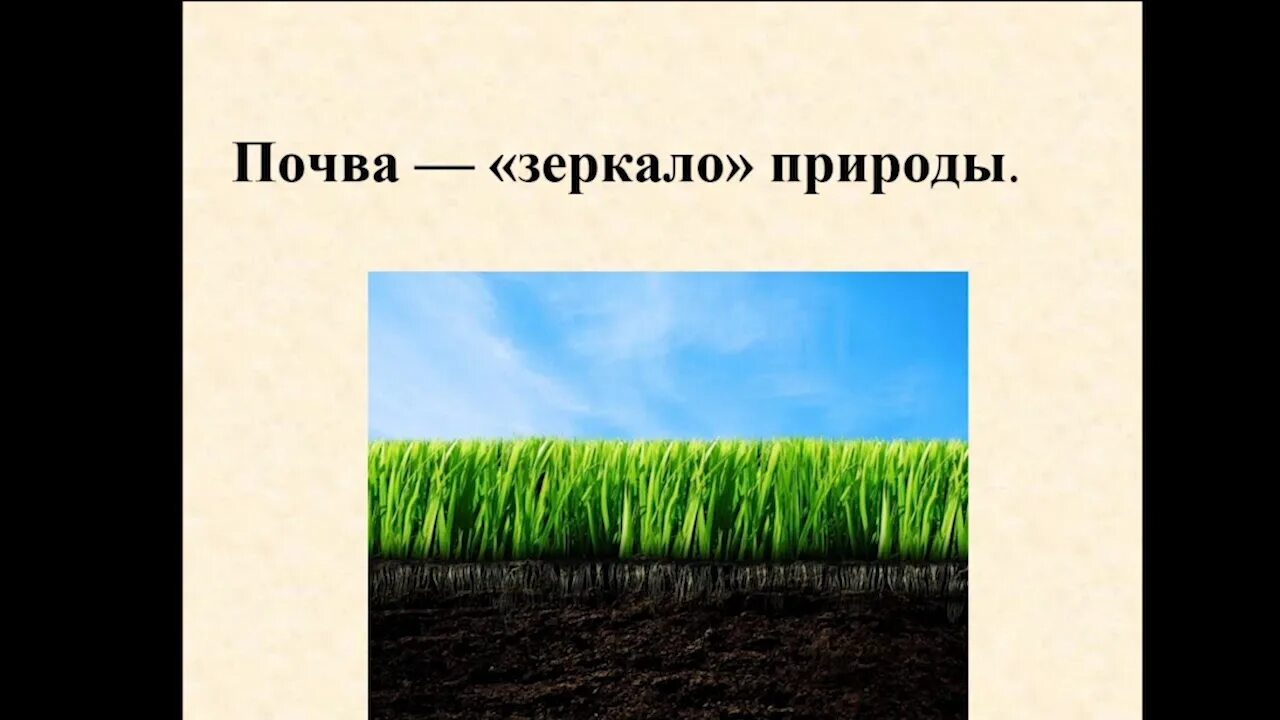 Почва 6 класс география презентация полярная звезда. География почв. Почвы 6 класс. Почва география 6. Почвообразование 6 класс.