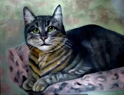Кошки буси