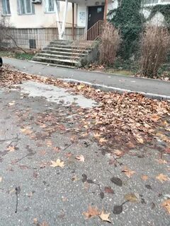 Управляющая компания хрюкина
