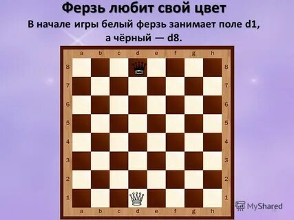 Поле ферзя