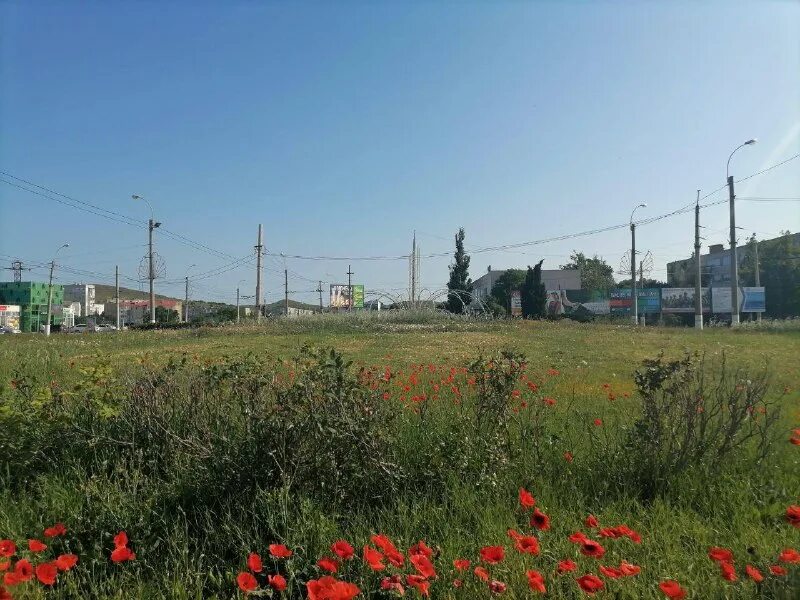 кладбище поселка сенной темрюкского района. квц керчь 24. могилы погибших в керчи. состояние керчи. алергический центр в керчи.