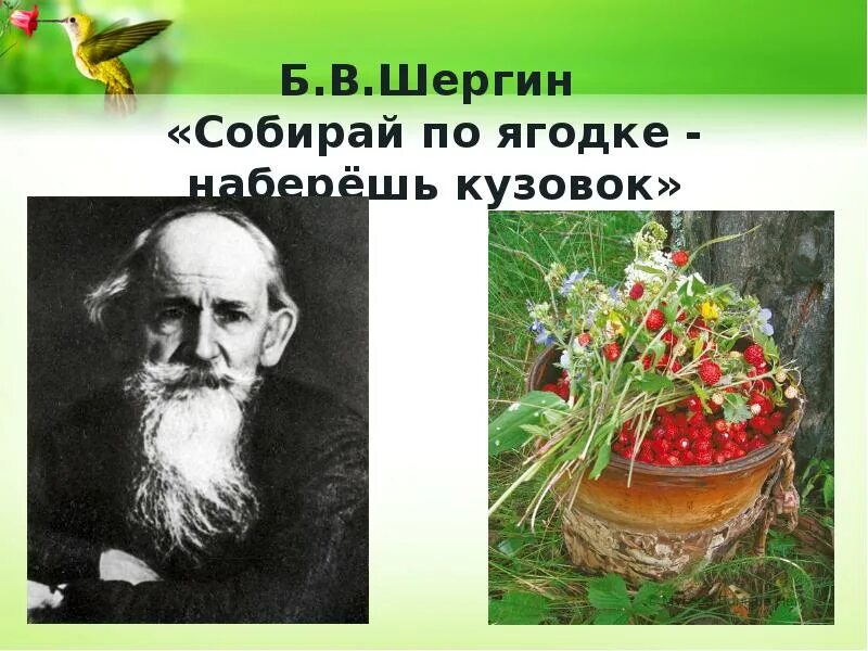 Какая пословица упоминается в рассказе шергина. Шергин собирай по ягодке наберешь кузовок. Б Шергин собирай по ягодке.