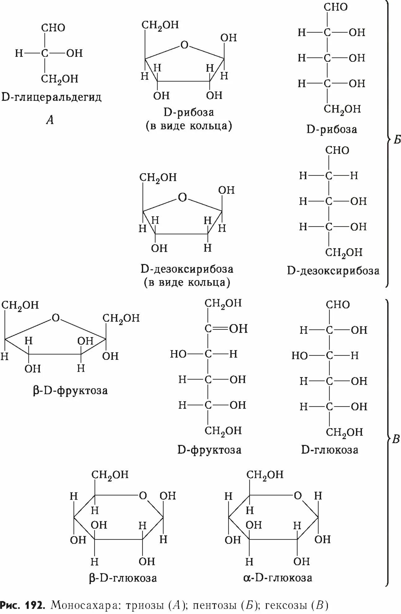 Триоза пентоза гексоза. Моносахара пентозы. Формула гексозы структурная. Моносахариды гексозы формула. Гексоза это