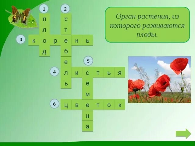 Кроссворд на тему органы растений. Кроссворд по теме органы растений. Кроссворд на тему органы цветкового растения. Кроссворд с вопросами на тему органы растений.