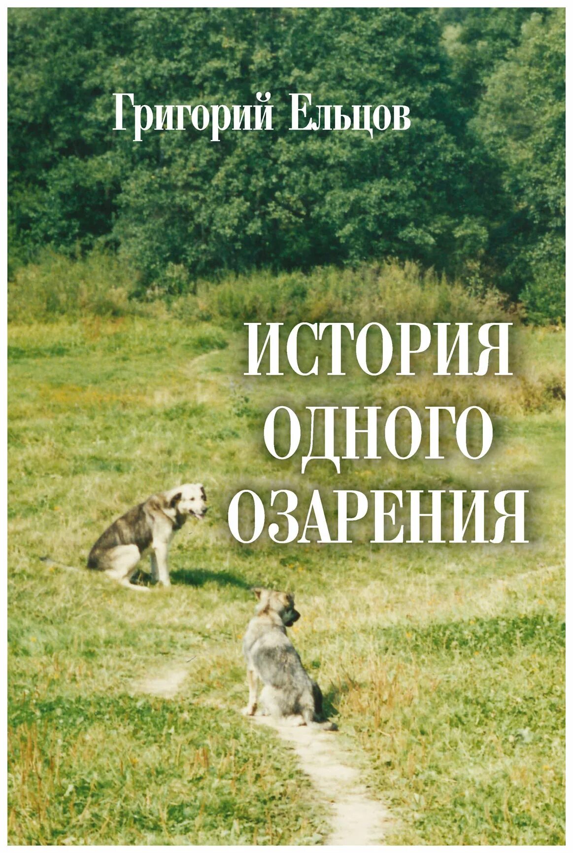 Книги Елецких писателей.