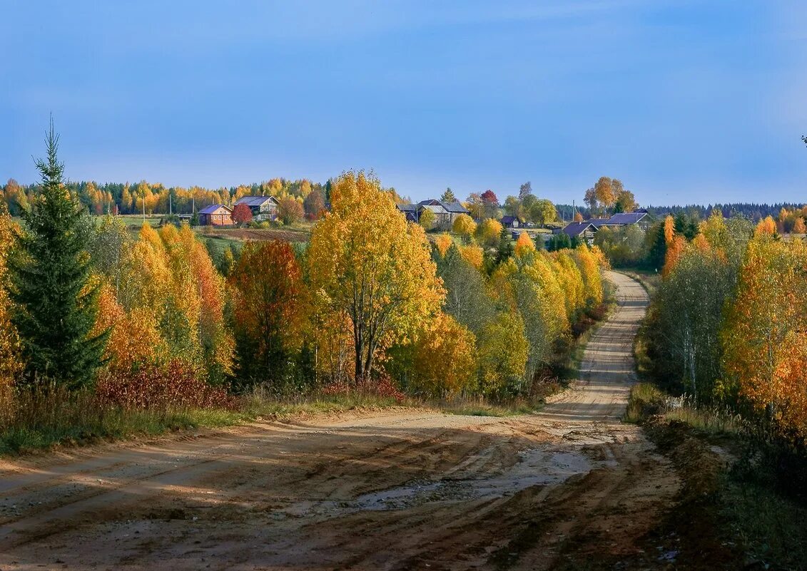 осенние федоры. картину владимира золотина ранняя осень. осенняя корея. осенние федоры. карелия осенью.
