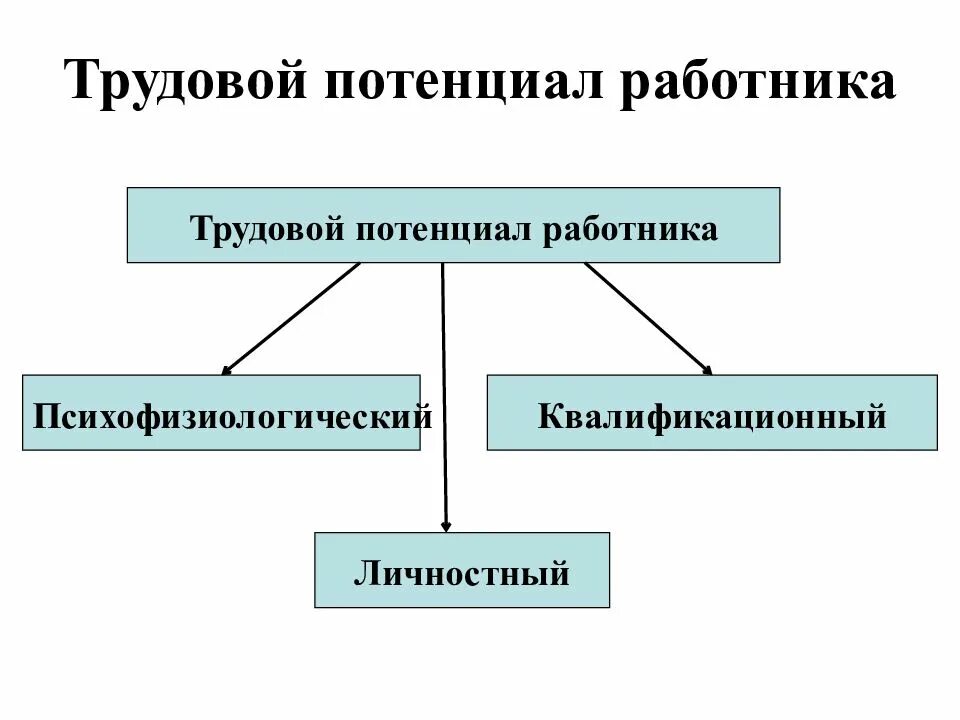 Потенциал организации работника. Трудовой потенциал работника. Структура трудового потенциала. Трудовой потенциал работника включает. Структура трудового потенциала организации.