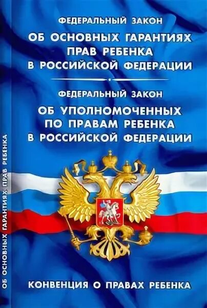 501 фз об уполномоченных по правам ребенка. Об основных гарантиях прав ребенка в Российской Федерации. Федеральный закон об основных гарантиях прав ребенка в РФ кратко. О основных гарантиях прав ребёнка в РФ 2020. 501-ФЗ «об уполномоченных по правам ребёнка в Российской Федерации»..