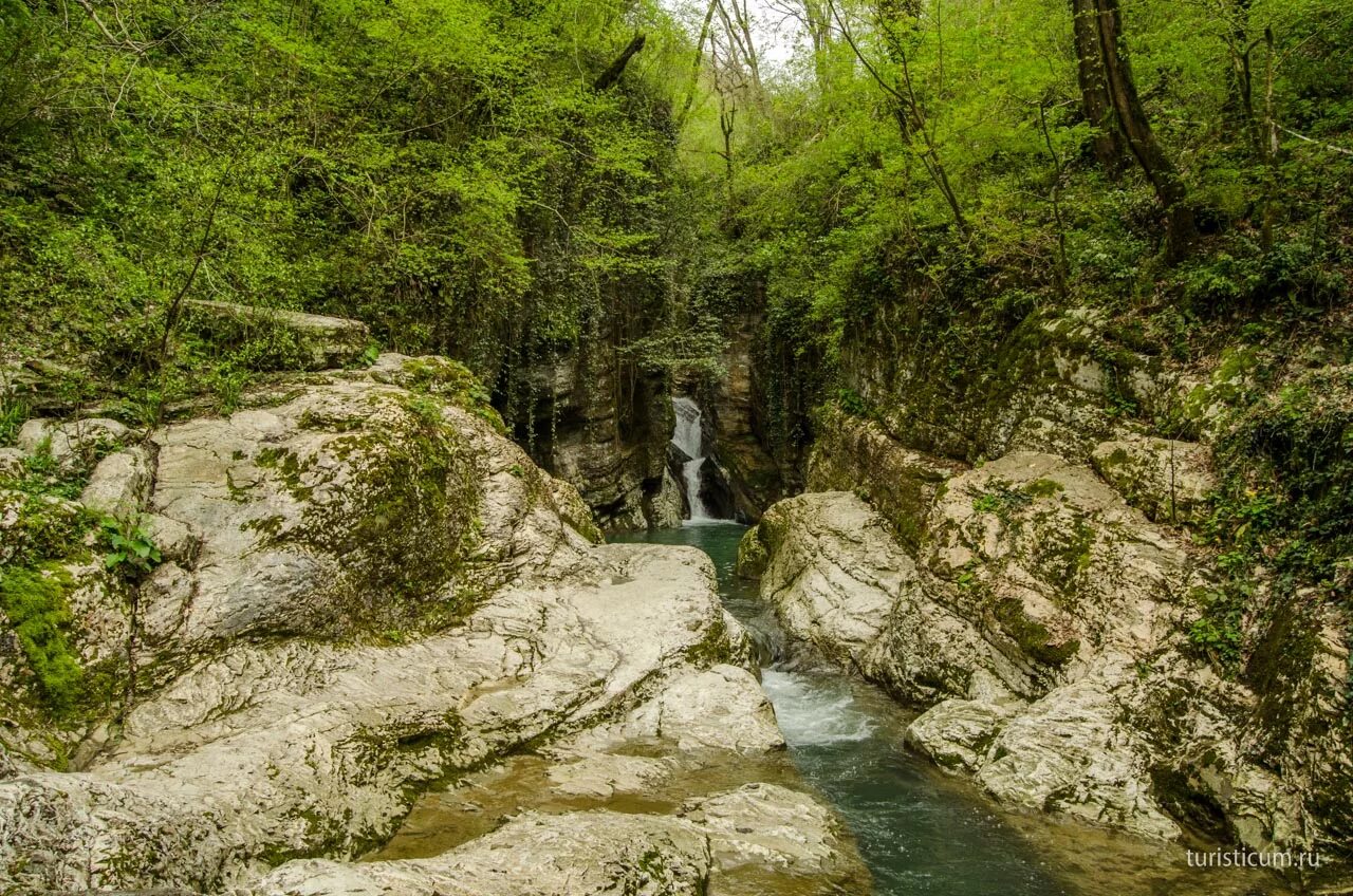 Агурское ущелье Сочи национальный парк. Агурское ущелье и водопады. Ущелье реки Агура. Агурское ущелье тропа. Природные достопримечательности сочи