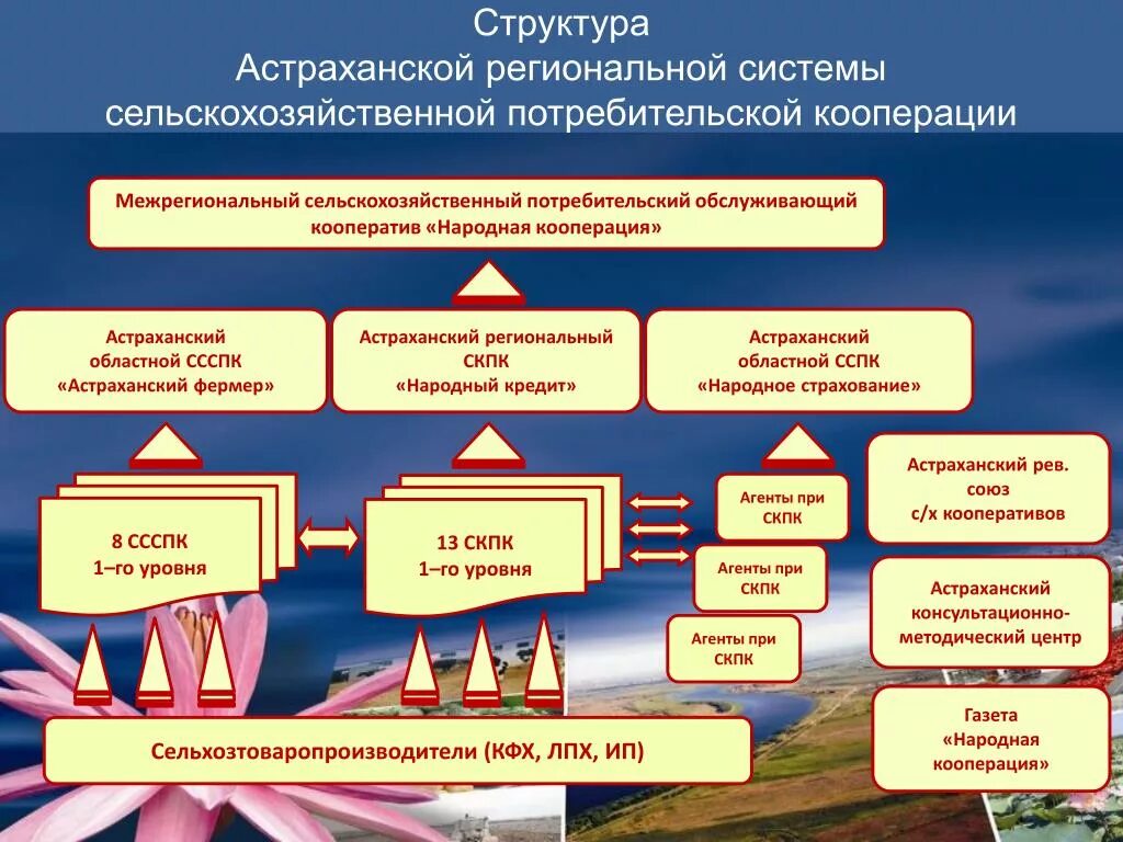 Структура кооперации. Система развития сельскохозяйственной кооперации. Модель кооперации. Кооперация это в экономике. Кооперация структура