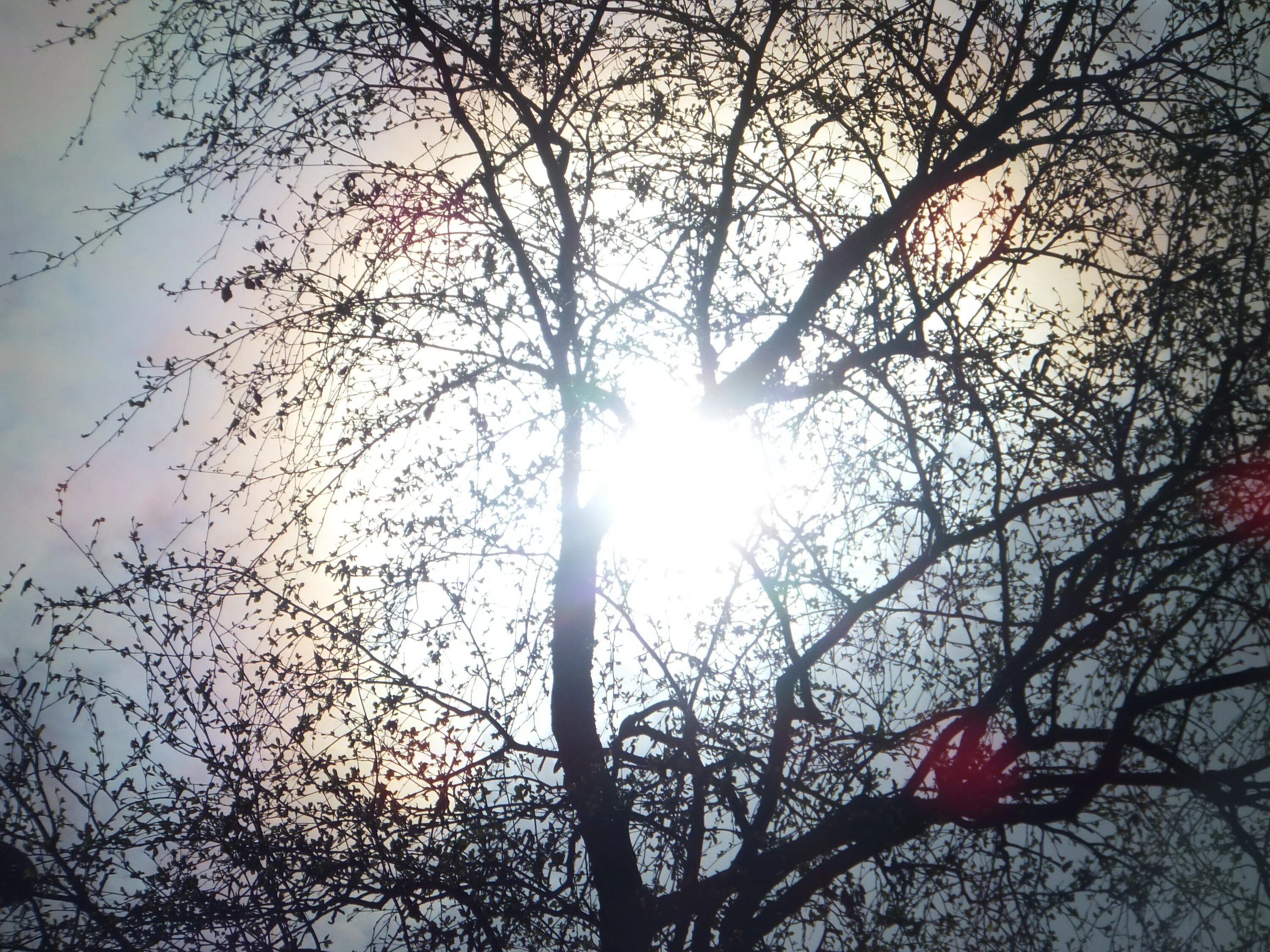 Фразы про самолеты. Останусь небом. Останусь небом. Не бойся летать еще никто не остался в небе. Книга с небом на обложке.