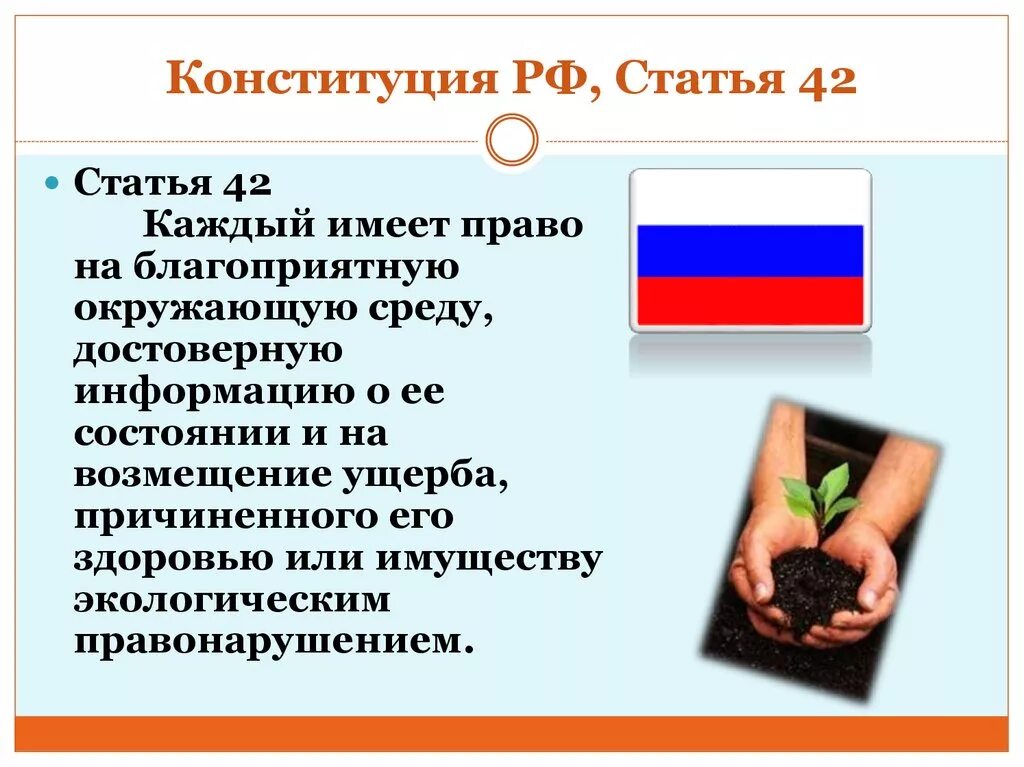 Конституция п 5. Статья 42 Конституции. 42 Статья Конституции Российской. Статья 42 Конституции Российской Федерации. Конституция экология.