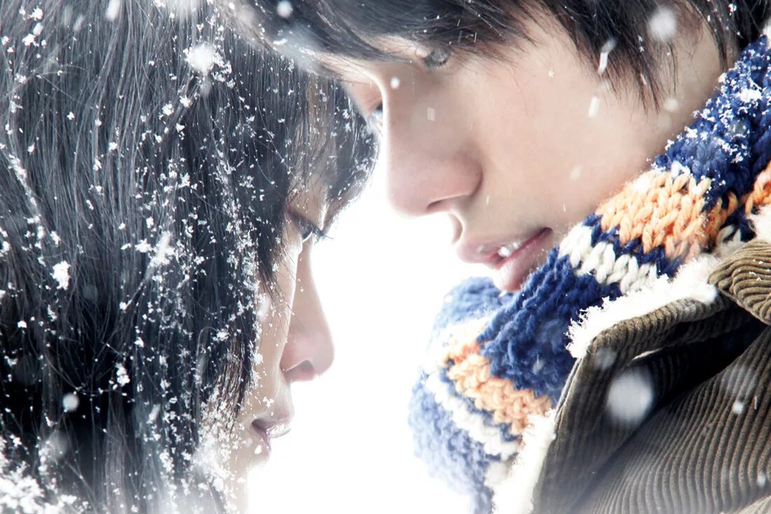 норвежский лес харуки мураками постер. норвежский лес жанр. книга мураками норвежский лес. норвежский лес жанр. норвежский лес харуки мураками фильм.