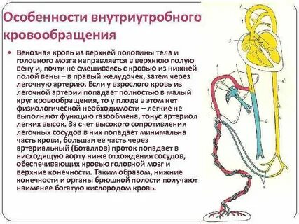 Функции протоков