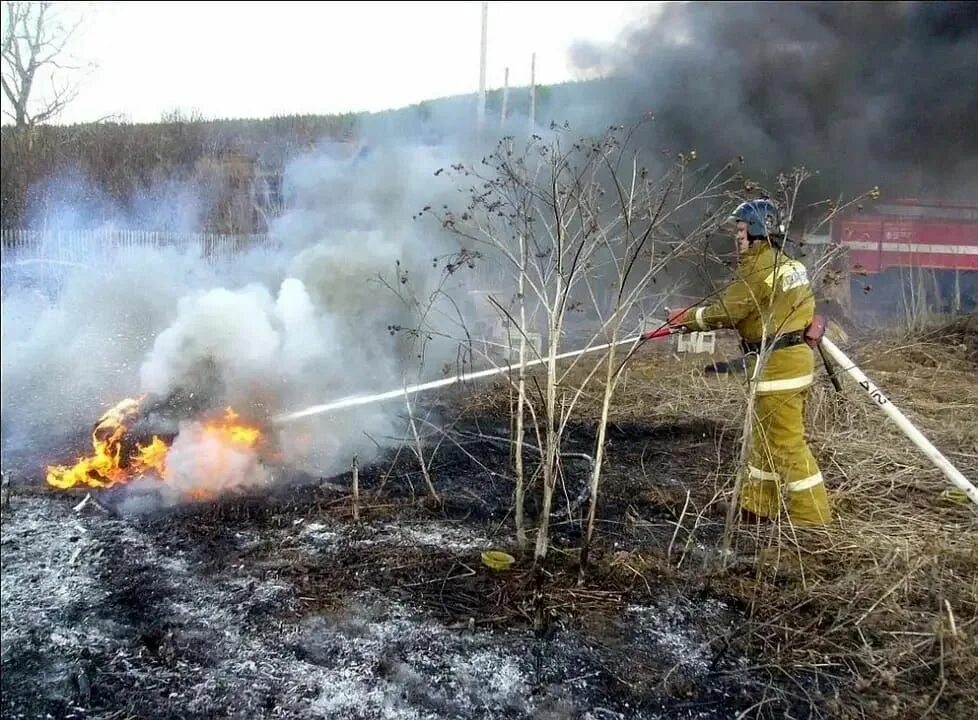 Тушение различных возгораний. Тушение пожара. тушение пожара в лесу. загорание травы. тушение сухой травы.