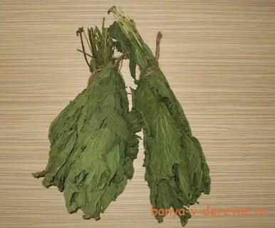 Веник из крапивы