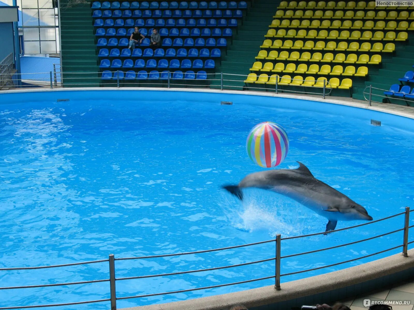 Дельфинарий и аквапарк в небуге. Дельфинарий небуг 2024. Дельфинарий небуг 2024. Дельфинарий аквамир небуг. Дельфинарий аквамир небуг.