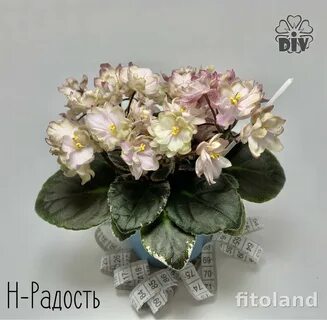 Н радость