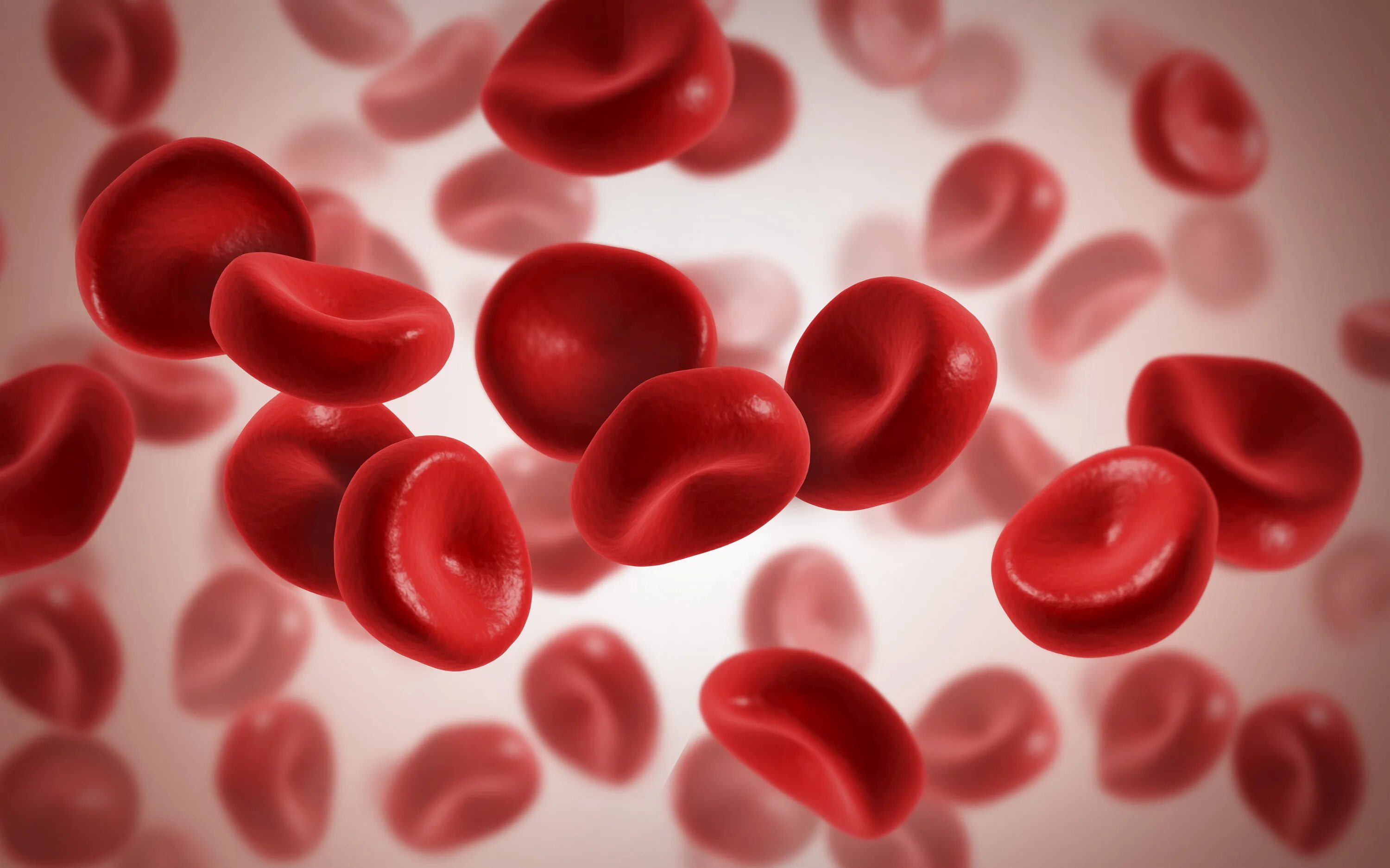 Эритроциты. Гемоглобин в крови. Клетки крови. Красные клетки крови.