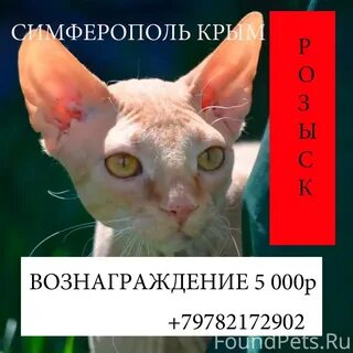 Помогла р