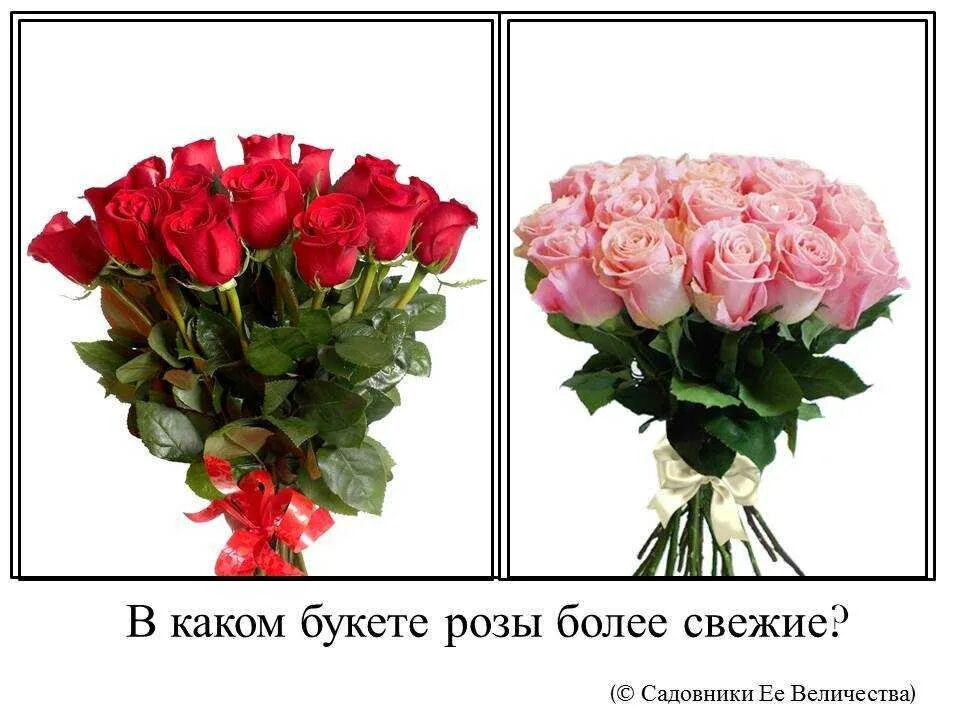 Какое количество цветов нужно дарить. Букет свежих роз. количество цветов в букете. свежие розы.
