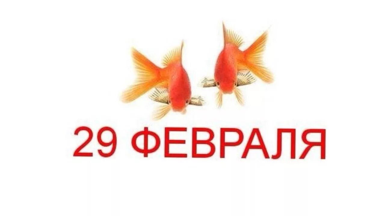 День рождения 29 февраля стихи. 29 Февраля. День рождения 29 февраля. Поздравления родившимся 29 февраля. 29 Февраля с днё м рождения.