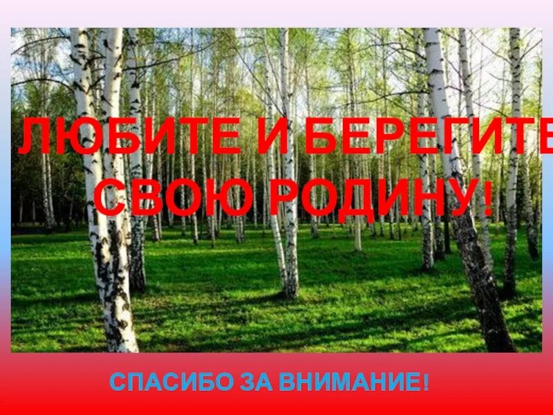 Где живет внимание. Береги свою родину. Спасибо за внимание Родина. Спасибо за внимание любите свою родину. Моя Родина спасибо за внимание.