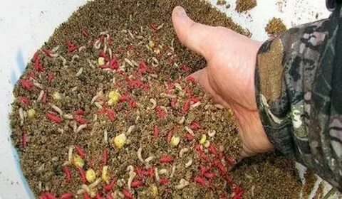 Приготовление приманок