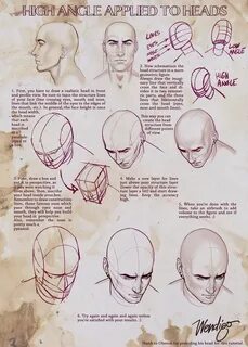 Head eyes
