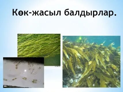 Екатерина Вуличенко порно фото