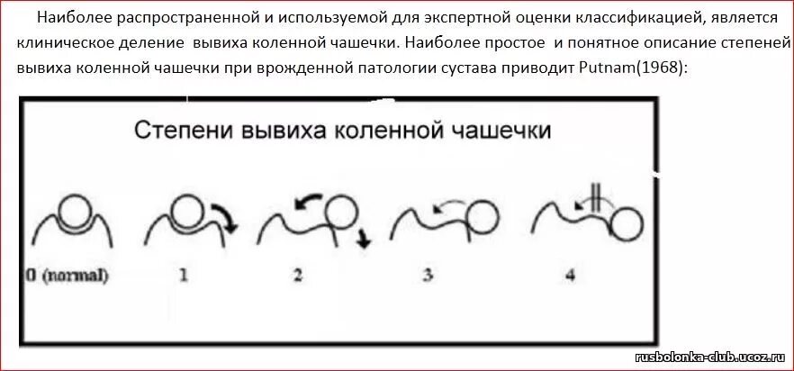 Вывих коленного сустава у собак. Подвывих коленного сустава у собак. Медиальный вывих коленной чашечки 4 степени. Вывих коленной чашечки у собак рентген. Медиальный вывих надколенника у собаки.