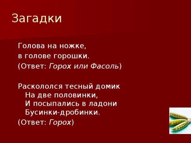 Затылок загадка. Загадка про голову. Загадка голова на ножке в голове горошки. Загадка про голову для детей. Загадка с ответом горох.